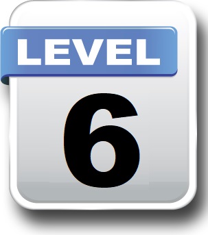 Level 6