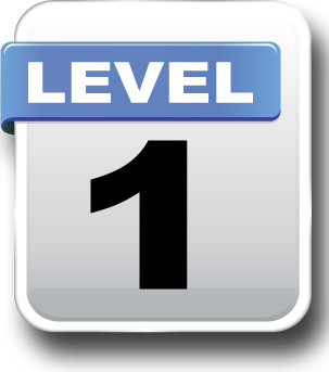 Level 1