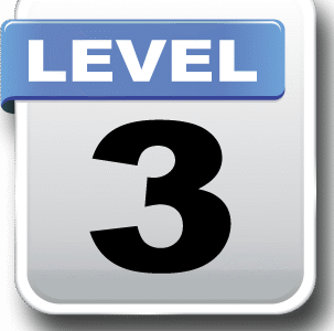 Level 3