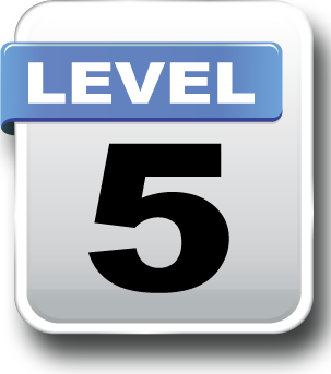 Level 5